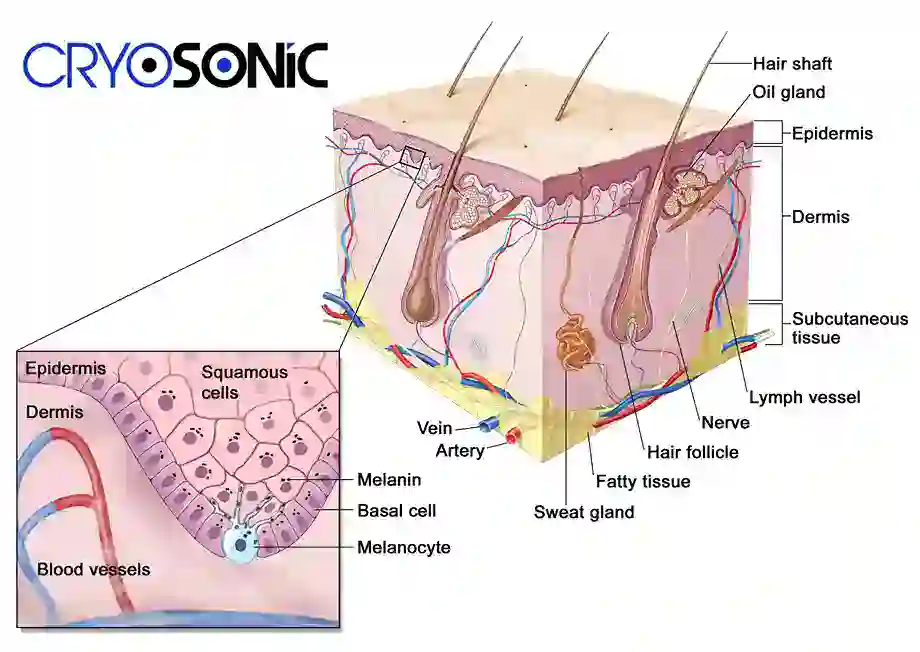 How Cryotherapy Stimulates Melanocyte Activity Stevenage